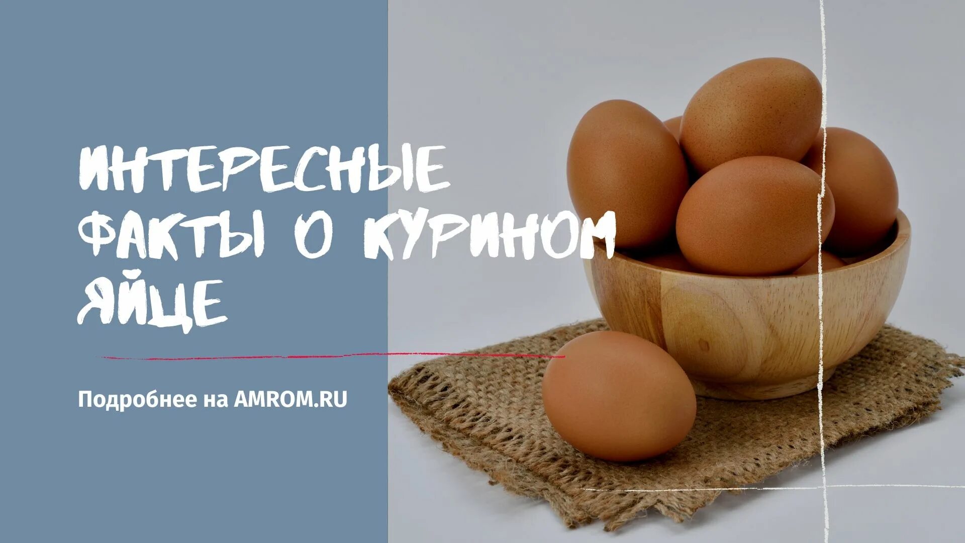 История про яйца. Факты о яйцах куриных. Интересные факты о яйцах. Интересные факты о яйцах курицы. Интересные яйца.
