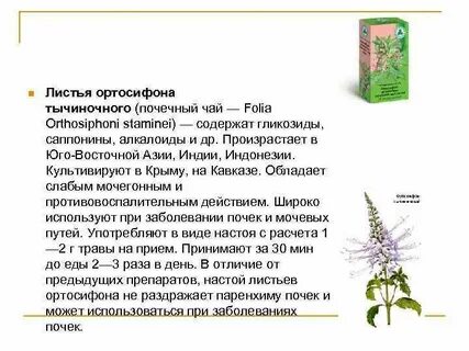 Почечный чай прием