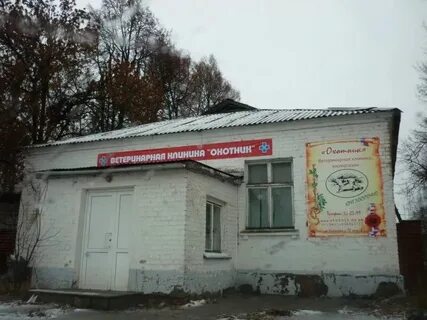 Ветклиника илай орел