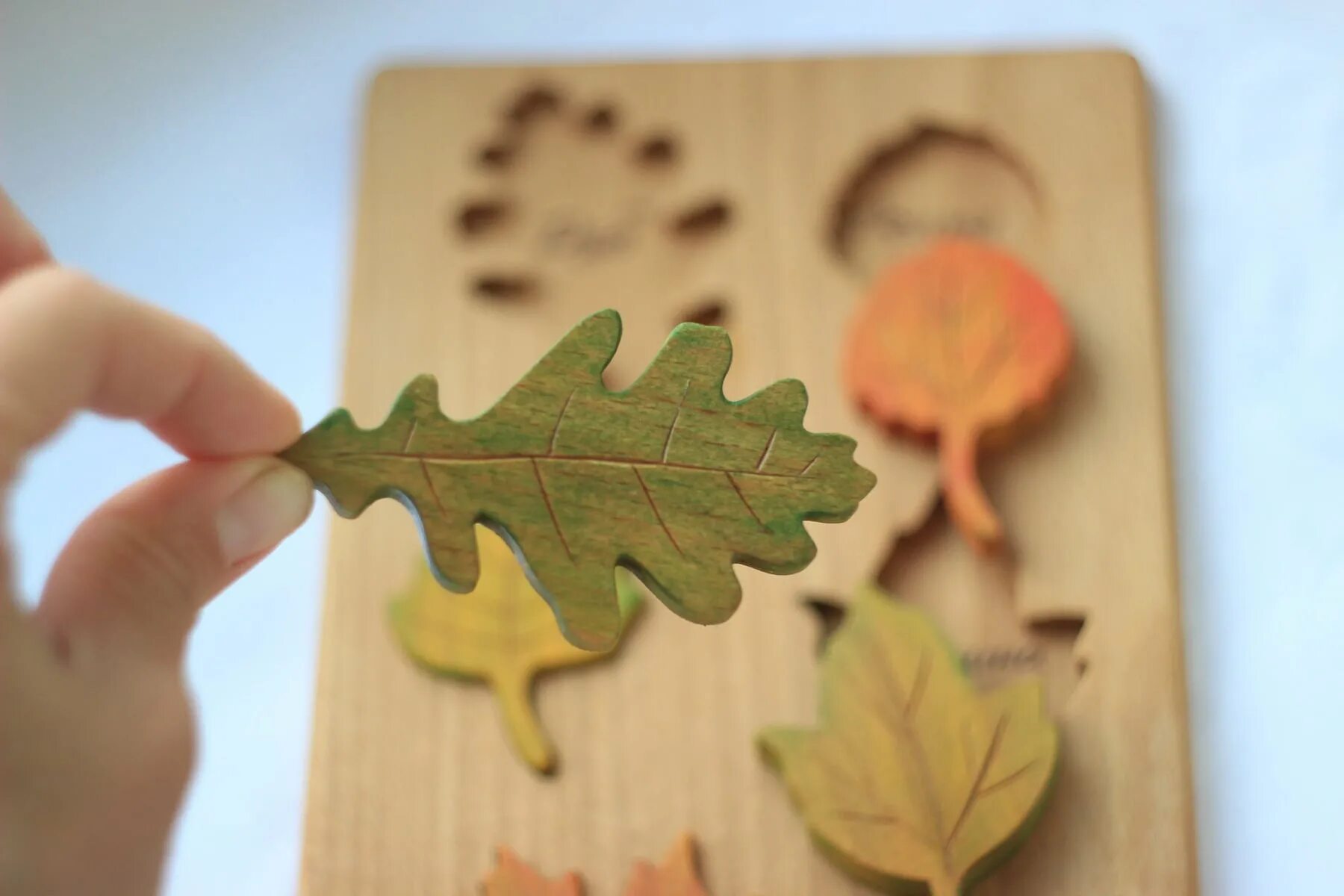 Дерево и его листик пазл. Пазлы листочки. Пазл с листком проросшим. Пазл кленовый лист. Пазлы листочки.