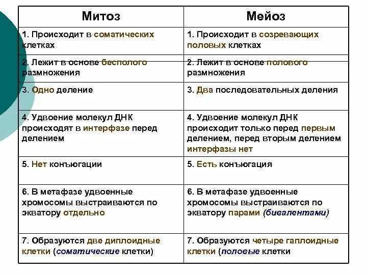 Сравнение митоза и мейоза таблица