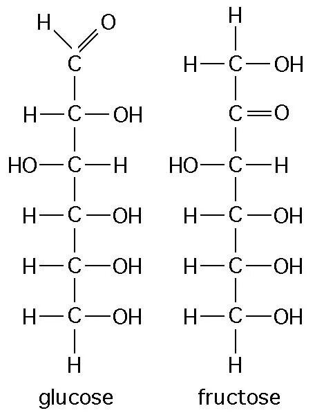 Глюкоза галактоза рибоза. Сахароза структурная формула линейная. Сахароза линейная формула. Структурная формула линейной формулы Глюкозы. Фруктоза структурная формула.