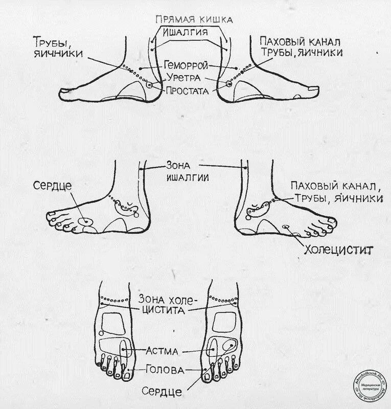 Массаж стопы схема самомассаж. Схема массажа стоп ног. Точечный тайский массаж схема выполнения. Стопа схема сбоку. Значение правой ноги