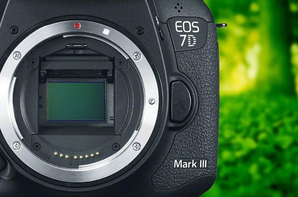 Eos 7d mark. Canon 7d Mark 3. Canon EOS 7. Canon EOS 7d Mark. Кэнон EOS 7d.