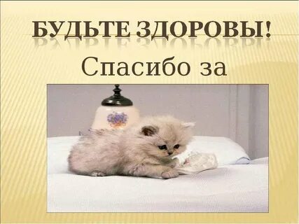 Картинки про спасибо за внимание