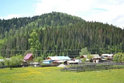 Поселок тайга