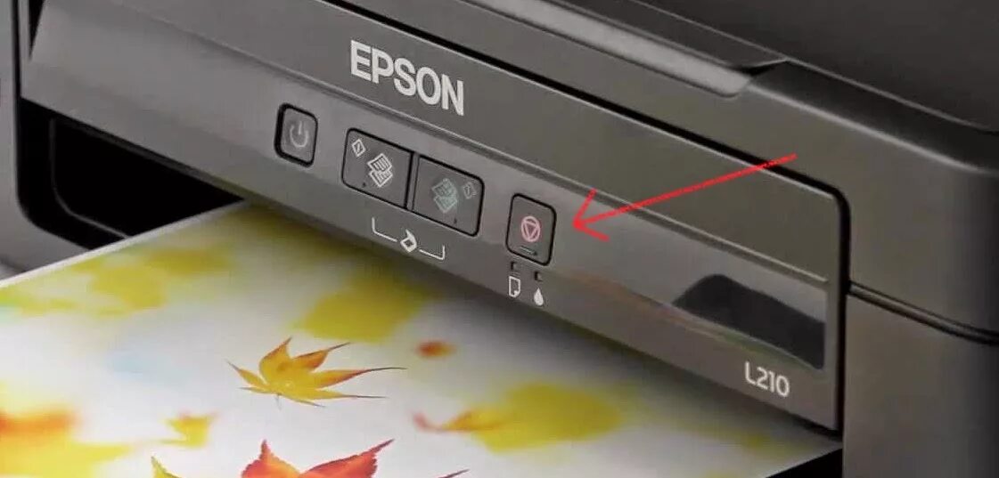 Почему принтер горит оранжевым. Принтер Epson l366. Эпсон л362. Кнопки принтера Epson l355. Epson Printer l3250.