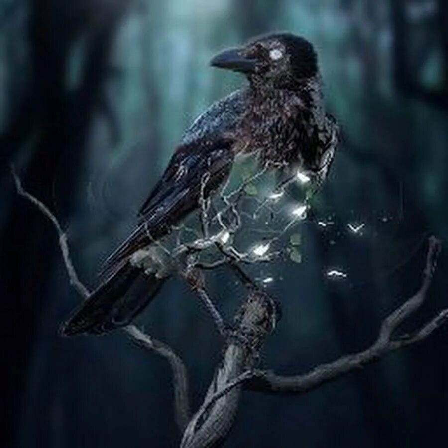Зловещая птица. Фамильяр ворон. Мистические птицы. Ворон арт. Магический ворон.