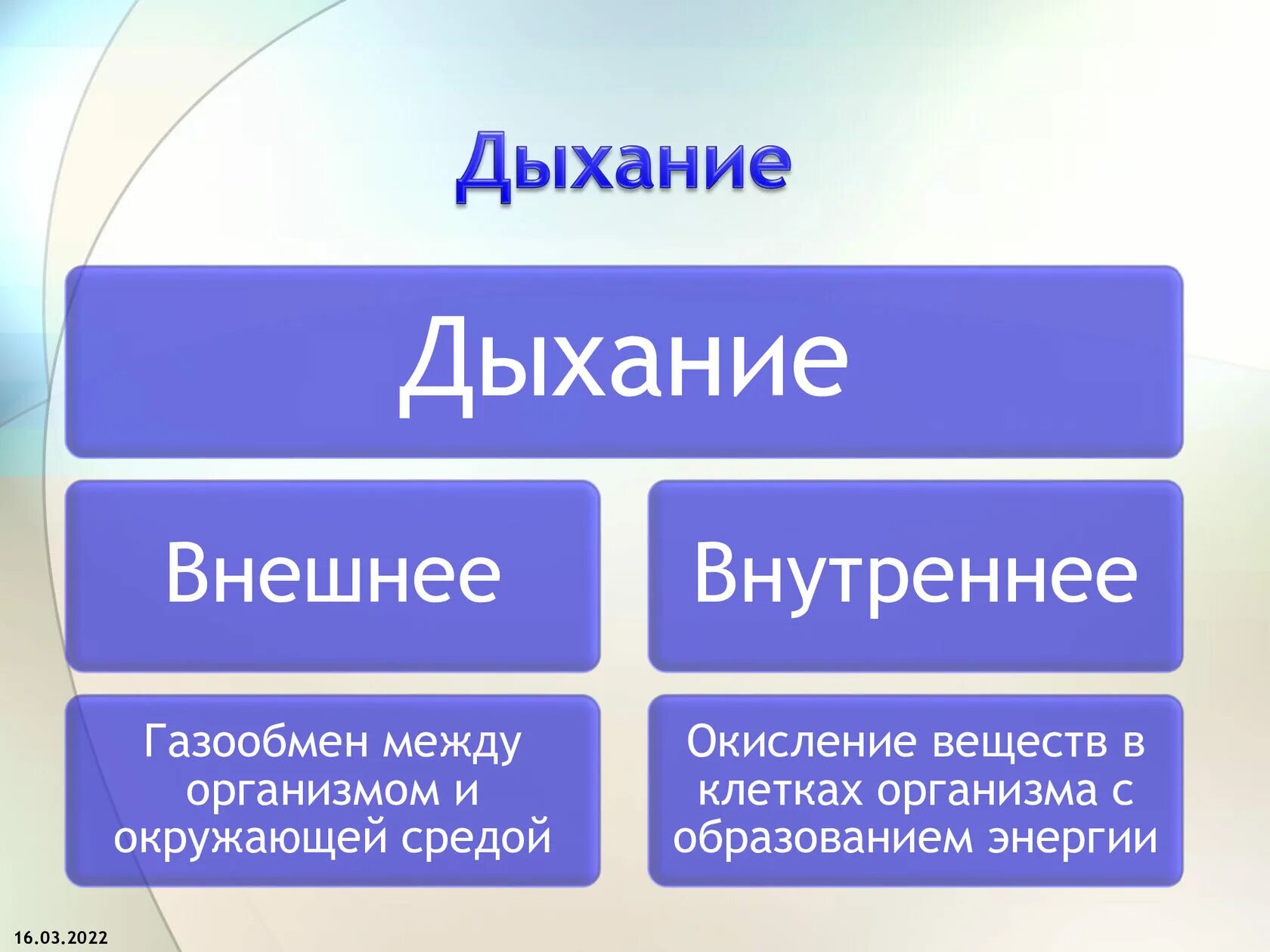 Внутреннее дыхание является. Внешнее и внутреннее дыхание. Внешнее дыхание и внутреннее дыхание. Дыхание внешнее и внутреннее схема. Газообмен между организмом и окружающей средой.