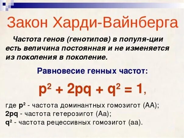 Частоты генов и генотипов. Закон Харди Вайнберга. 2 Положение закона Харди Вайнберга. Закон Харди-Вайнберга формулировка. Формула Харди Вайнберга.