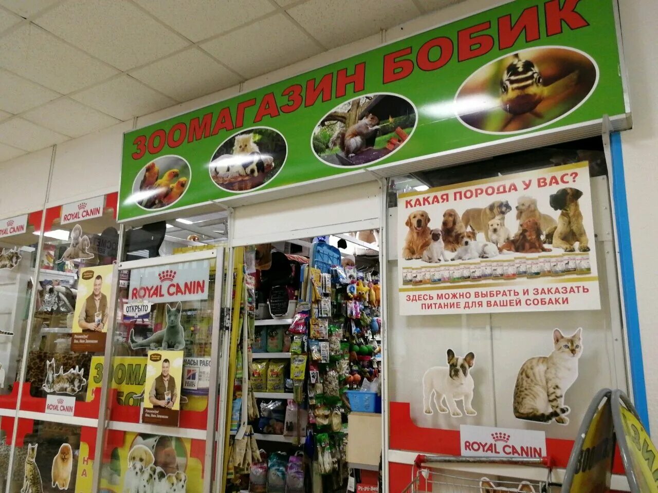 магазины для животных работают. магазины для животных работают. зоомагазин в баку. режим работы зоомагазина. продавец в магазине 4 лапы.