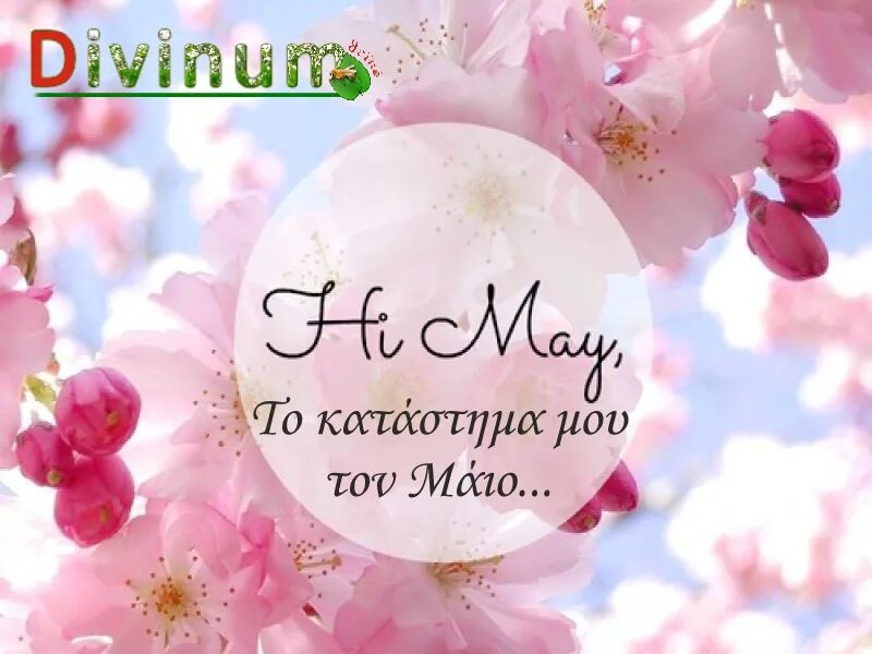 Привет май. Hello May картинки. Открытки привет май. Привет май фото. Розовый май текст