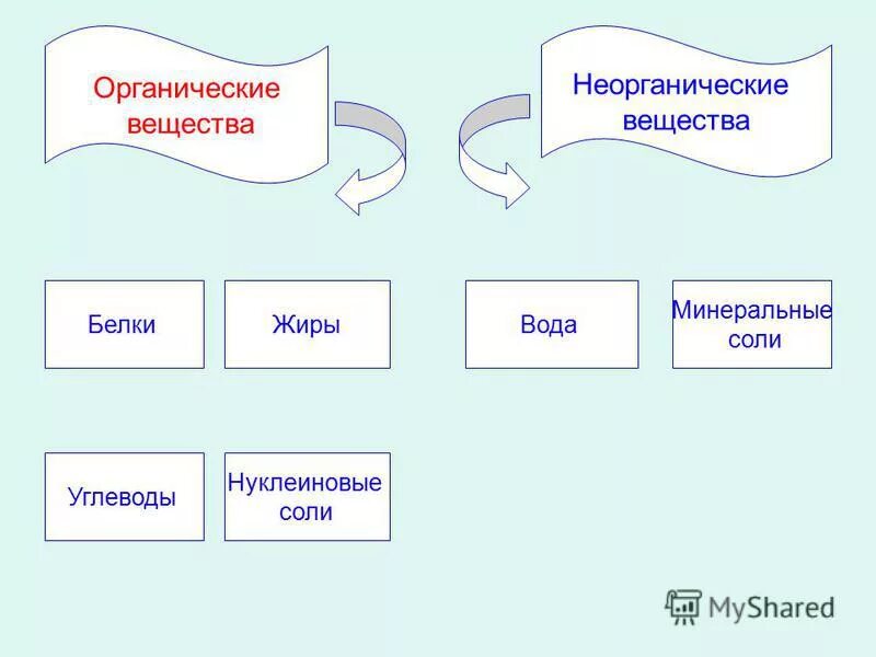 Неорганические вещества вода и минеральные соли