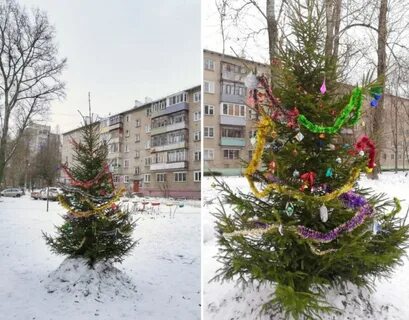 В каком углу ставить елку