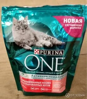 Пурино