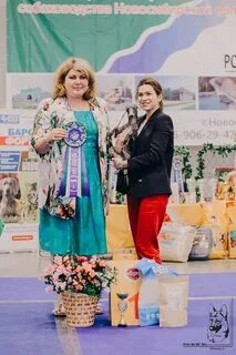 Флера чайковская