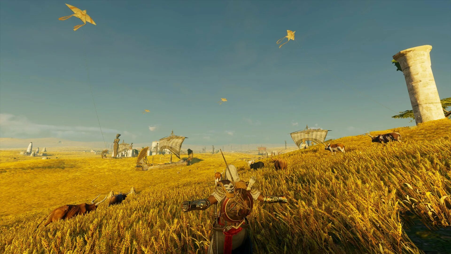 Поля q r. Assassins creed origins поля иалу. поля иалу египет. иалу египет поля ассасин. assassins creed origins в поле.
