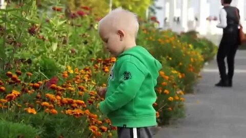 Ребенок рвет цветы