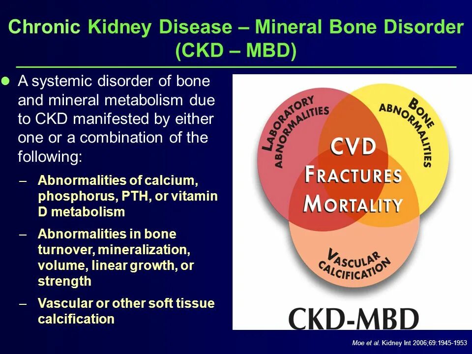 Bone mineral