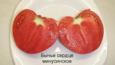 Минусинские томаты бычье сердце отзывы