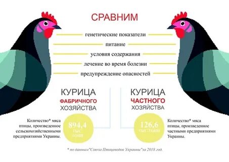 Чем отличается курица