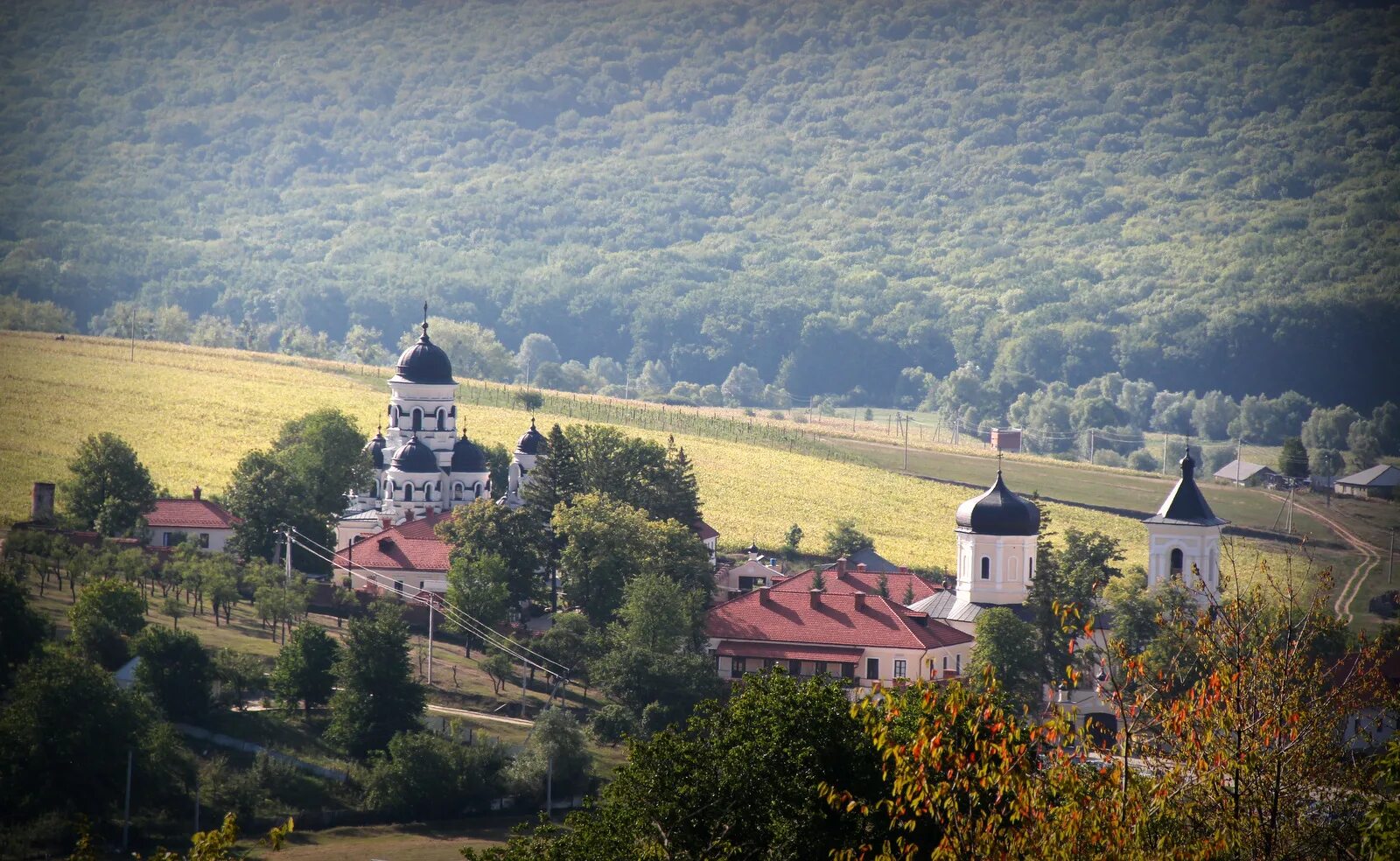 Молдавия это страна. Монастырь Кэприяна Молдова. Каприяна Молдова монастырь пейзаж. Добруджа Молдова. Монастырь сорока Молдова.