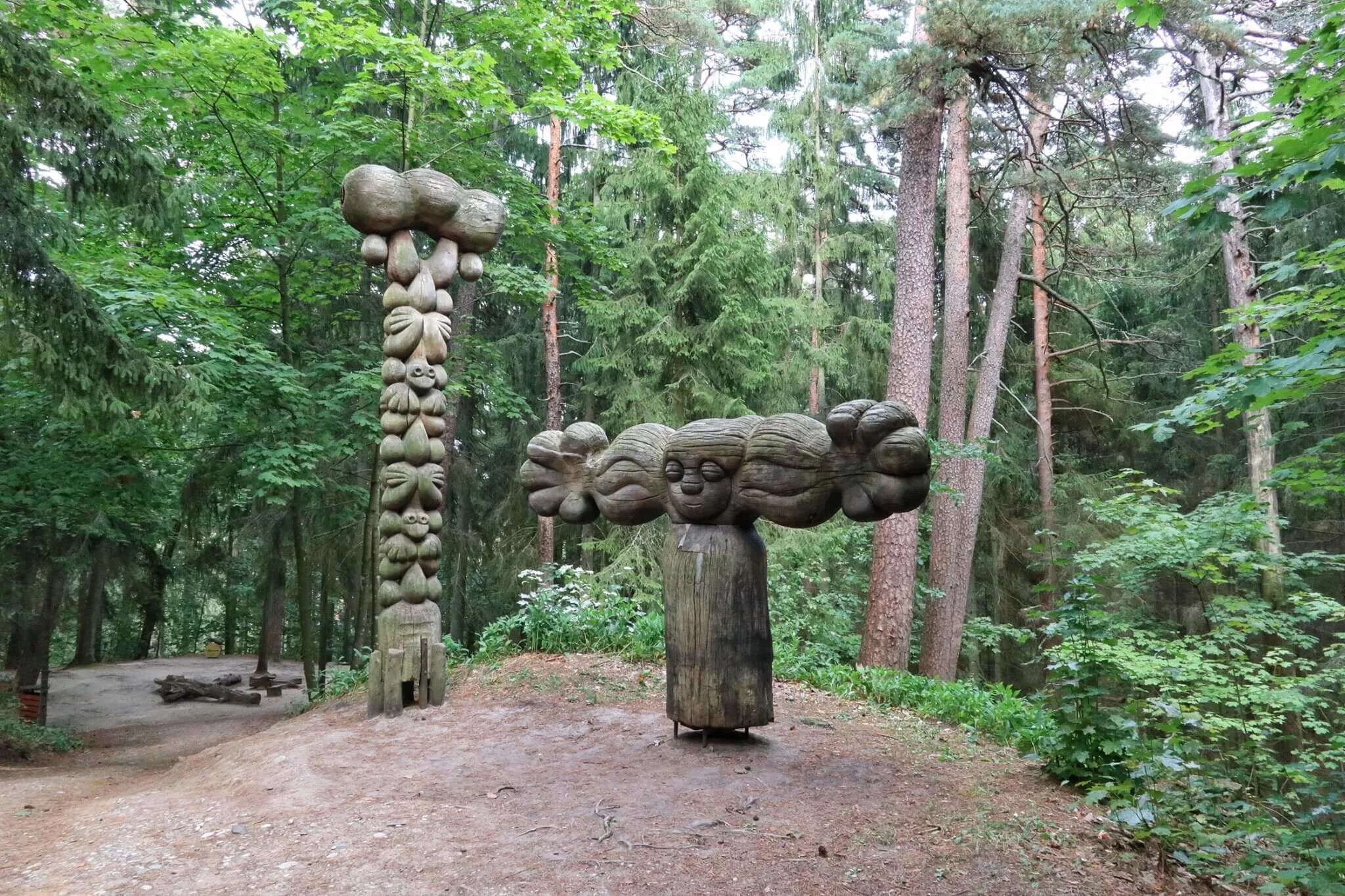 Гора ведьм где находится. Гора ведьм куршская коса. ведьмина гора куршская коса. ведьмин холм куршская коса. гора ведьм литва.