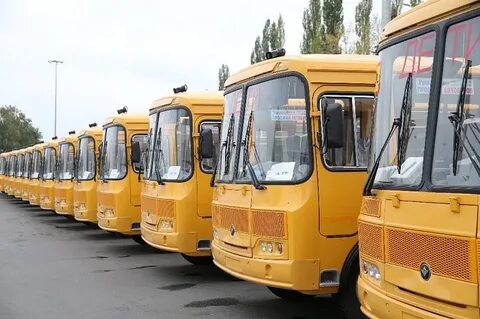 Парк школьных автобусов