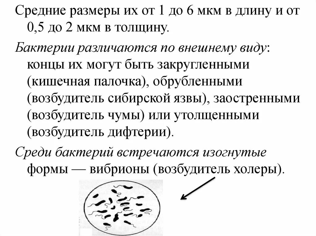 Размер бактерии в мкм. Бактерии различаются по внешнему виду. бактерии различают. морфология бактерий. размер бактерии мкм.