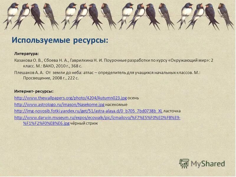 Сравнение 2 птиц. Ласточки и Стрижи сходства и различия 2. Сравнение ласточек и Стрижей окружающий мир. Различия ласточки и стрижа 2 класс. Отличие ласточки от стрижа.