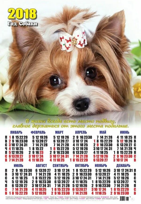 График года собаки. Календарь 2018 года. Календарь собака. 2018 Год календарь год. Календарь год собаки.