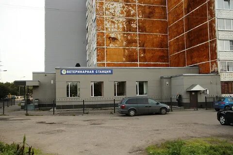 Ветеринарная станция мытищи олимпийский