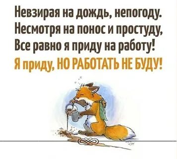 Смешные фразы про работу