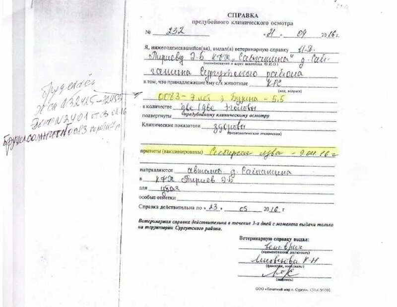 Протокол дерматологического исследования в ветеринарии. Акт клинического осмотра животного ветеринаром образец. Бланк клинического осмотра животного. Акт обследования животного. Акт о проведении вакцинации животных.