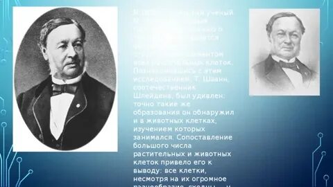 Немецкий ученый 7