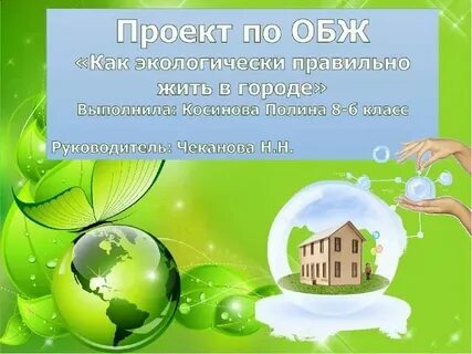 Окружающая среда проекта это