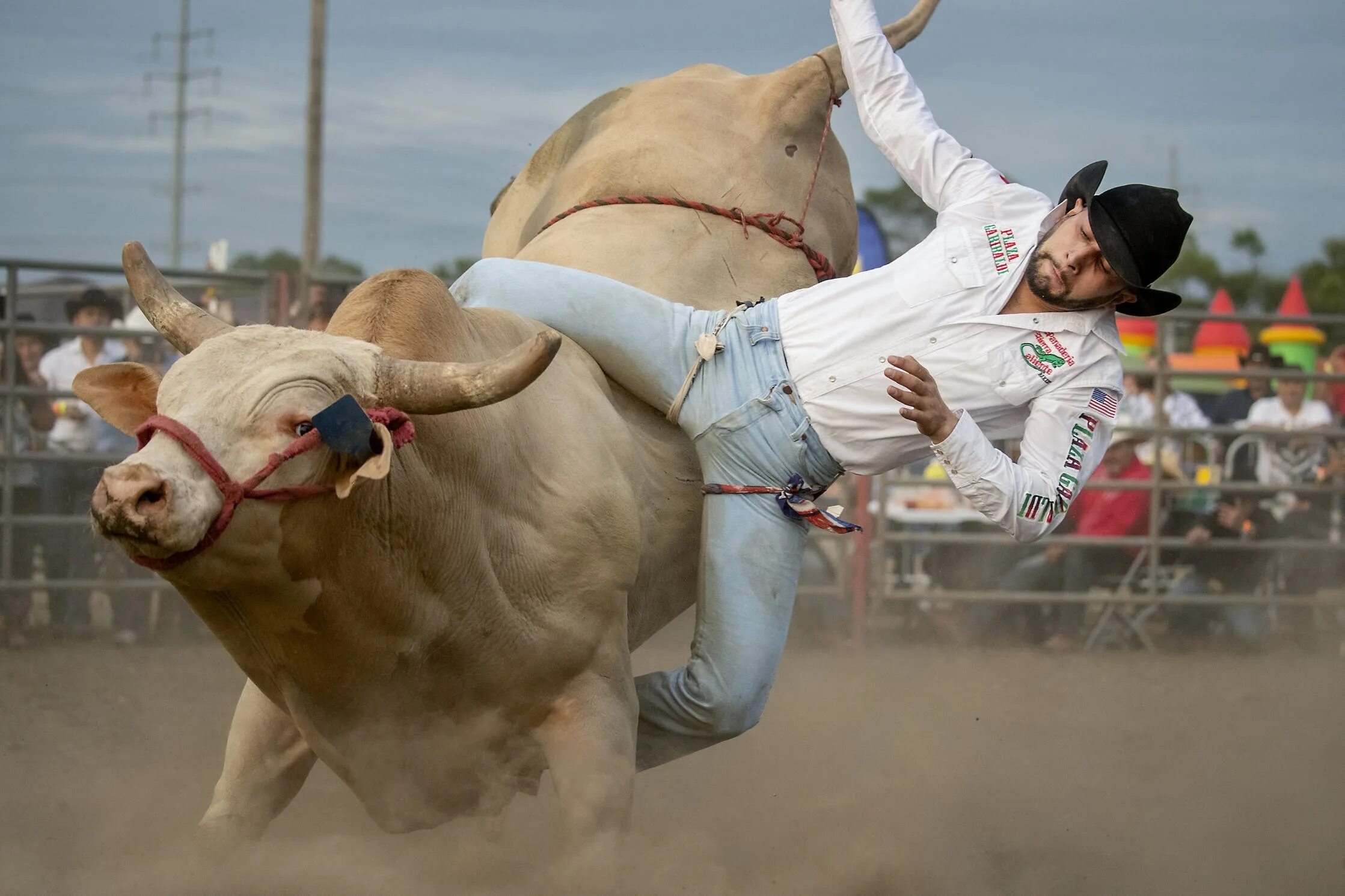 скачка на быке