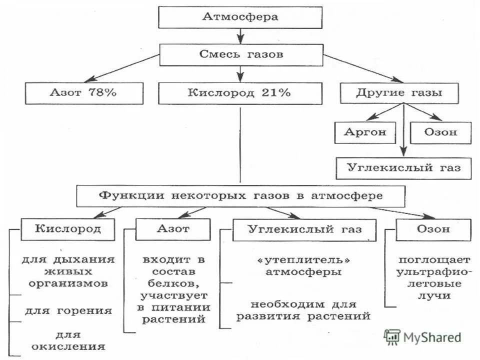 Роль газов в атмосфере. Роль газов атмосферы в жизни земли таблица. Функции азота в атмосфере. Функции газов атмосферы. Газовая функция живого вещества в биосфере.