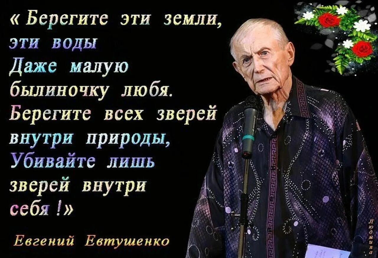 Евтушенко цитаты. Высказывания о Евтушенко. Стихотворение Евтушенко.