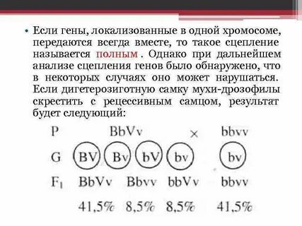 Группа генов локализованных в одной хромосоме