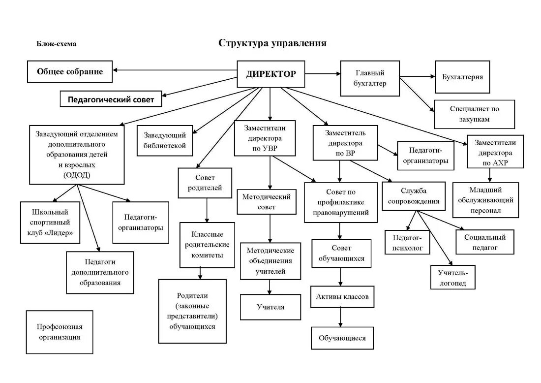 Внутренняя организация школы. Схема организационная структура учебного заведения школы. Организационная структура частной школы схема. Организационная структура управления школой схема. Структурная схема управления школой.