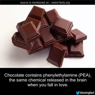 Chocolate flavour