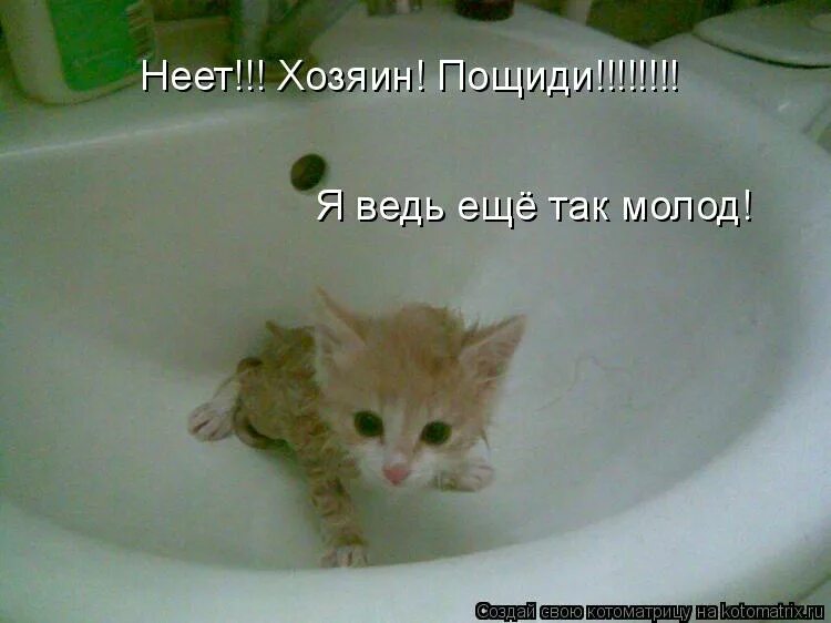Гоша москва слезам не верит. Человек скучает. Ведь она еще не. Как жизнь людей фильтрует. Как жизнь людей фильтрует замечали а ведь она умнее и мудрей.
