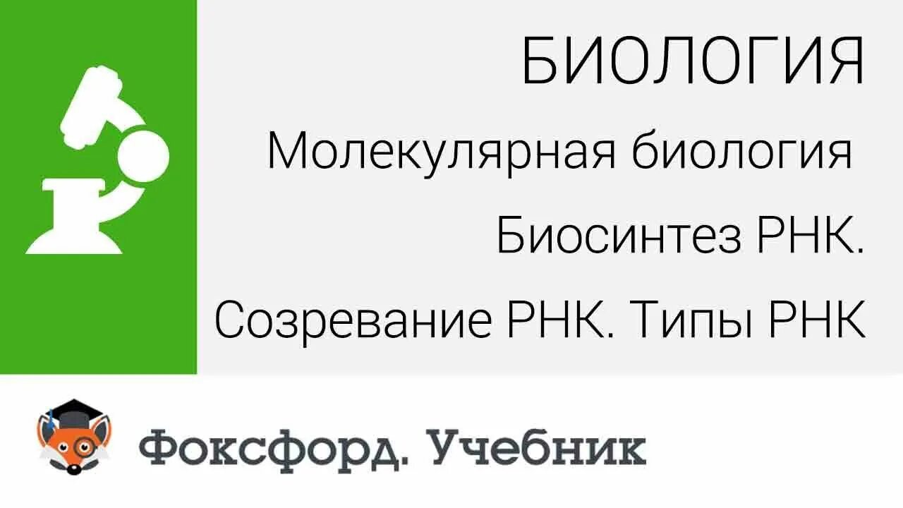 Фоксфорд по физике. Foxford. Foxford учебник. Фоксфорд подготовка к огэ. Foxford учебник.