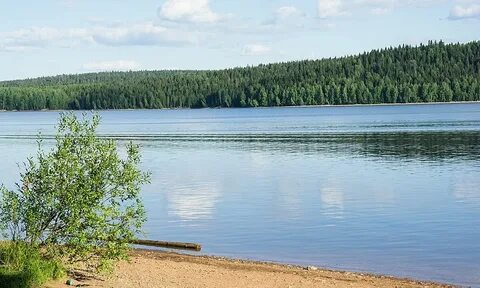 Водохранилище поселок