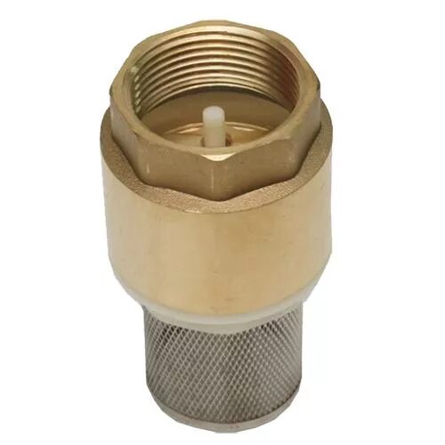 Клапан обратный 1/2" jif 310. Обратный клапан aqualink с сеткой 1/2. Сетка стм 2" для обратного клапана. Обратный клапан аквалинк 1 1/4. Обратный клапан с фильтром 3/4.