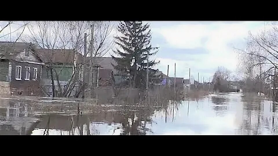 Медведица вышла из берегов. Медведица вышла из берегов
