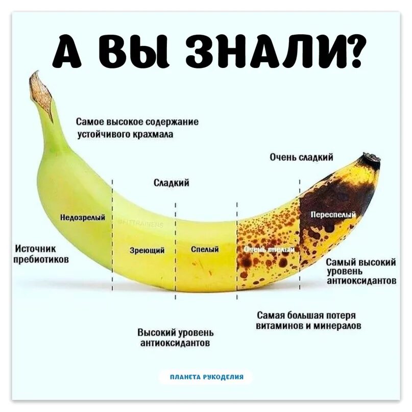 Гайд по banana. Гайд по banana. Бананы по степени зрелости. Правильные бананы. Степень зрелости банана.