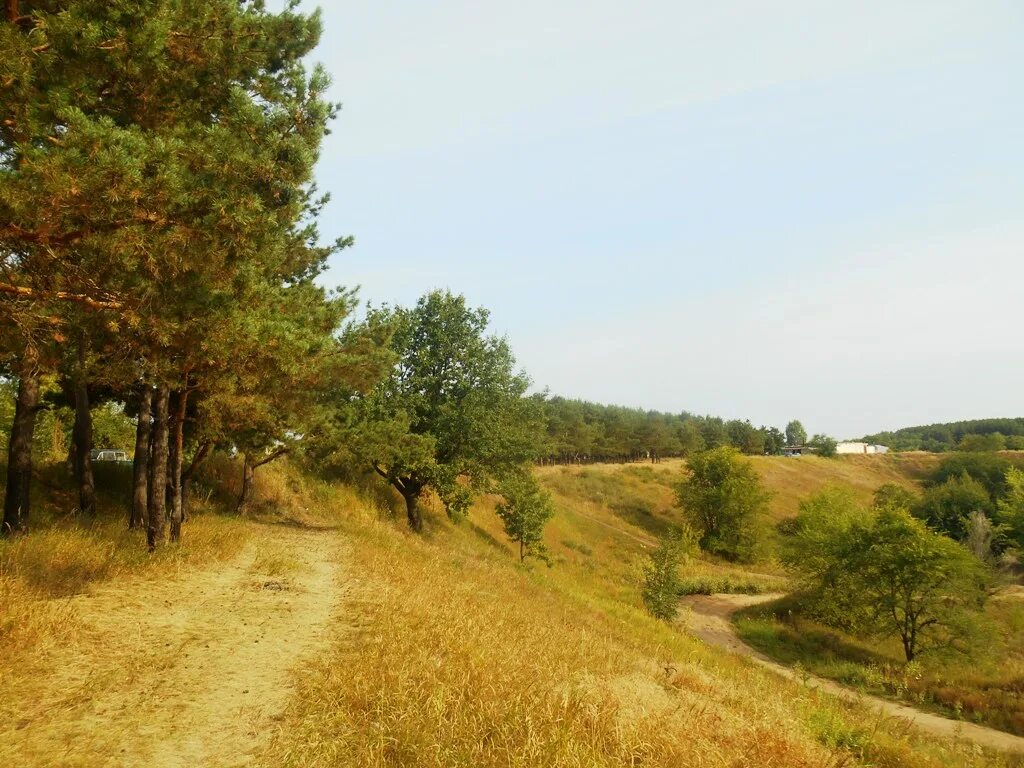 овраги ульяновска. петров овраг ульяновск гонки. овраги ульяновска. петров овраг мотокросс. петров овраг ульяновск.