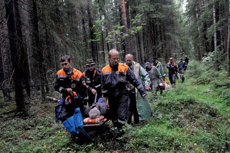 Поиск всей россии. МЧС России на поисках в лесу. Поисковики ищут человека в лесу.